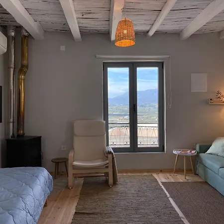 Schefflera Apartment, With Mountain View